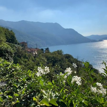 Apartment Casa Dono Il Lago Pognana Lario المظهر الخارجي الصورة