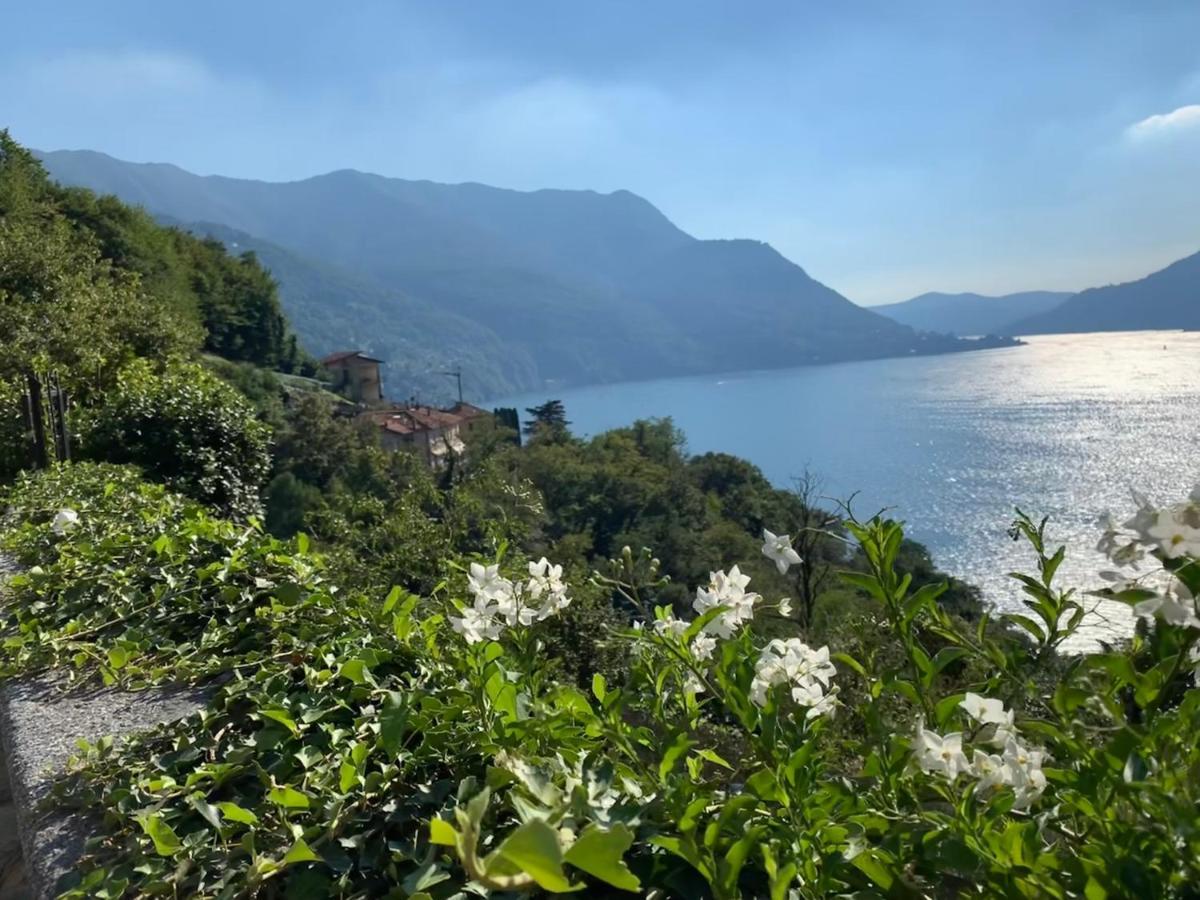 Apartment Casa Dono Il Lago Pognana Lario المظهر الخارجي الصورة