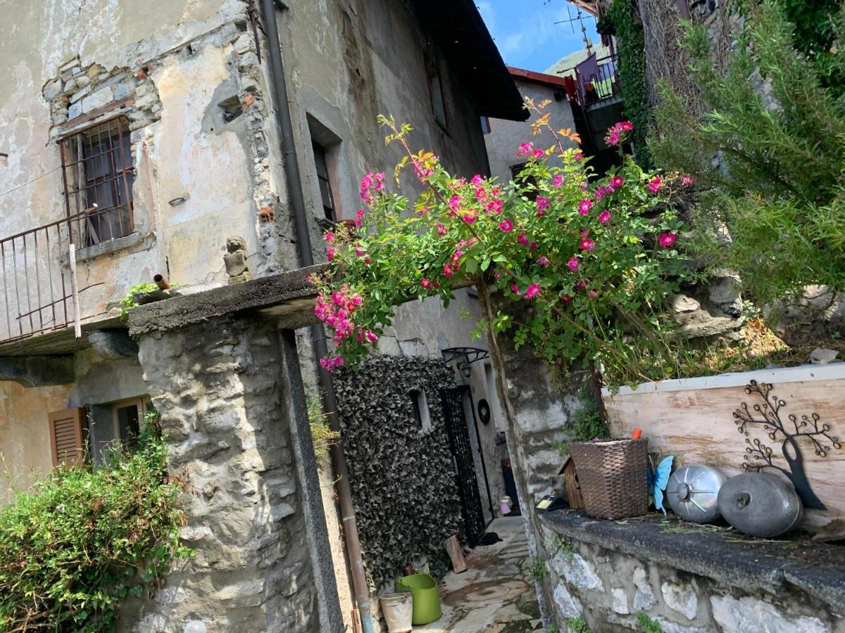 Apartment Casa Dono Il Lago Pognana Lario المظهر الخارجي الصورة